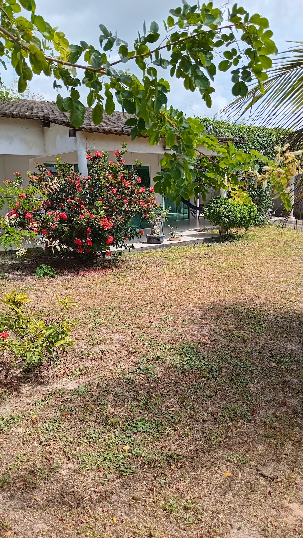 A spacious garden area featuring well-maintained grass and colorful flowering shrubs. The house is partially visible at the back, surrounded by lush greenery. Tropical plants add to the tranquil ambiance, creating a relaxing outdoor space that invites connection with nature.
