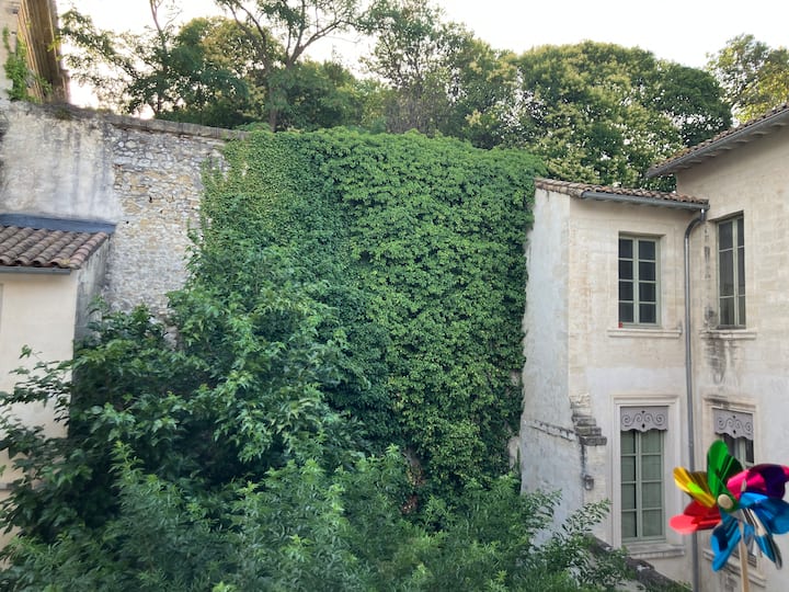 Studio Hyper Centre Dans Un Hôtel Particulier -
