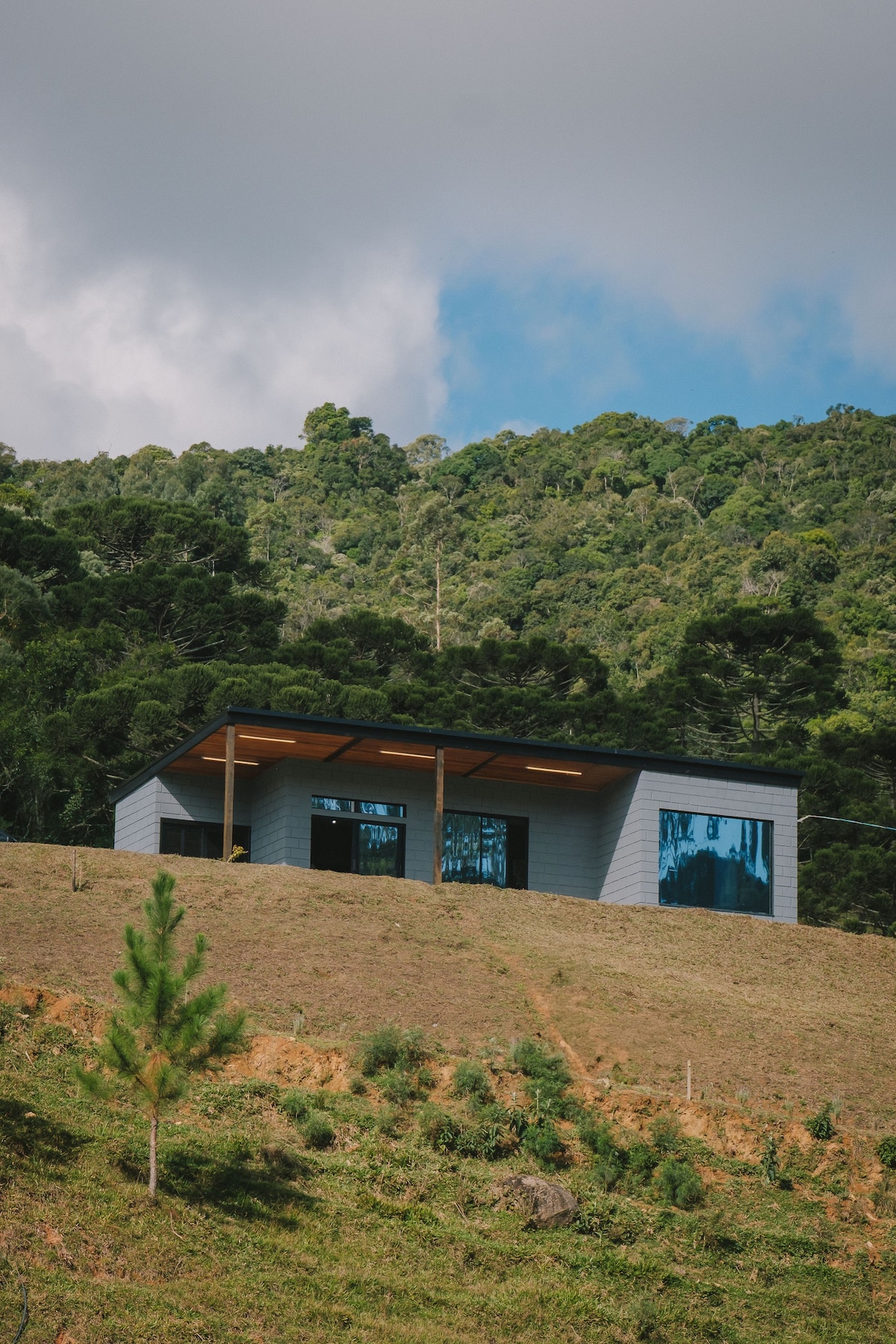 A modern structure is positioned on a gently sloping hillside, surrounded by lush greenery. The building features a slanted roof and large windows, inviting natural light while providing views of the scenic landscape. The area conveys a sense of tranquility and connection with nature.