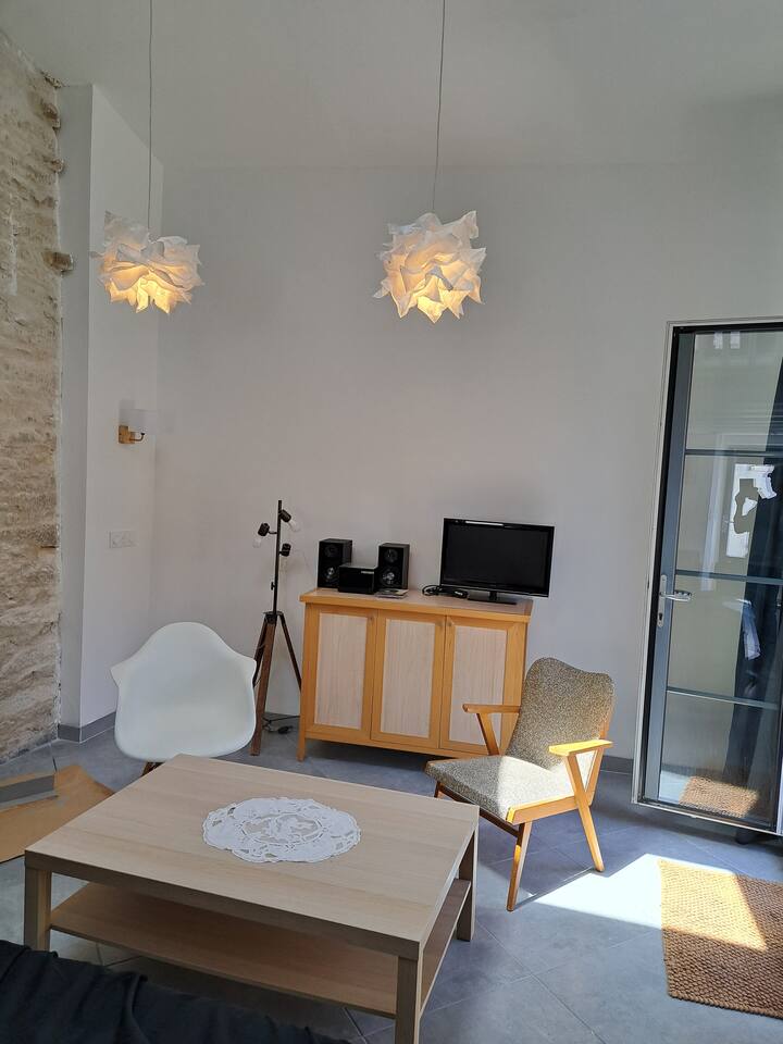 Jolie Petite Maison De Village - Marais poitevin