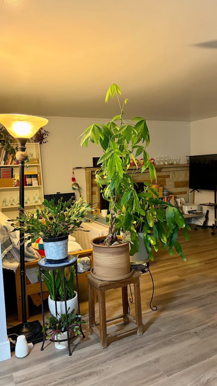 غرفة المعيشة