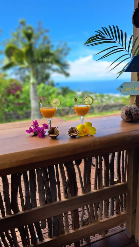 Kaz Allamanda - nature charm and tropical panorama
