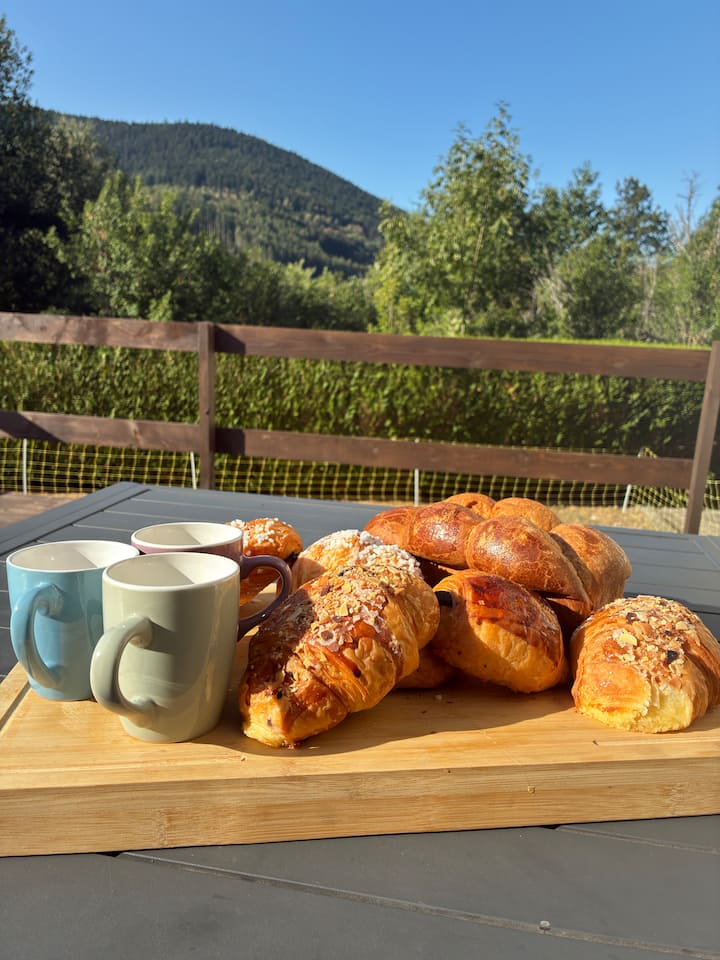 Entre Alsace Et Vosges /Terrain Clôturé De 600m2 - Bussang