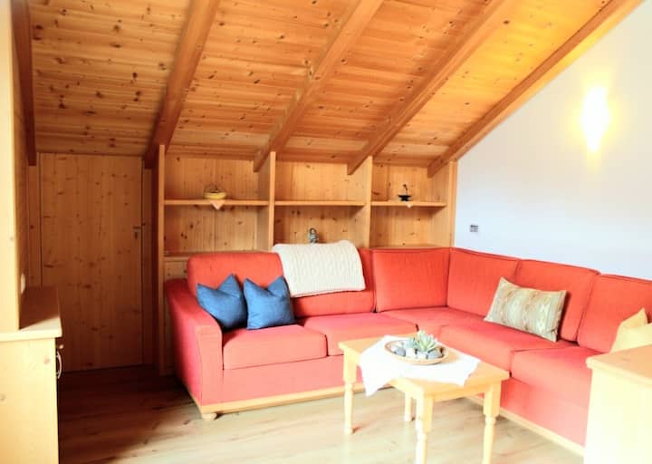 [Appartamento Rustico] Relax E Vista Mozzafiato - Kronplatz