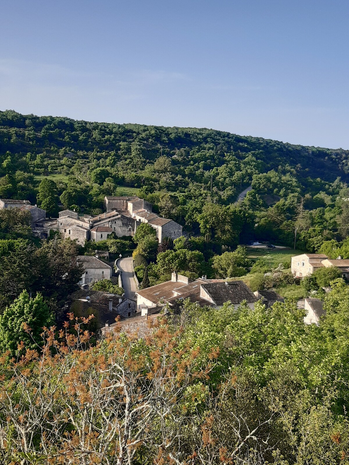 A serene landscape is depicted, showcasing a quaint village nestled among lush greenery. Stone buildings, with slate roofs, are interspersed throughout the scene, while dense trees provide a natural backdrop. A clear blue sky enhances the tranquil atmosphere.
