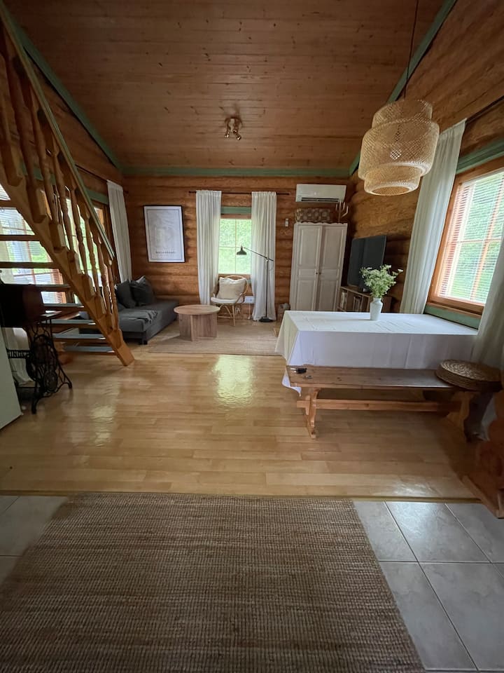 Modern Lakeside Summer Cottage (Reachable By Car) - Kuopio