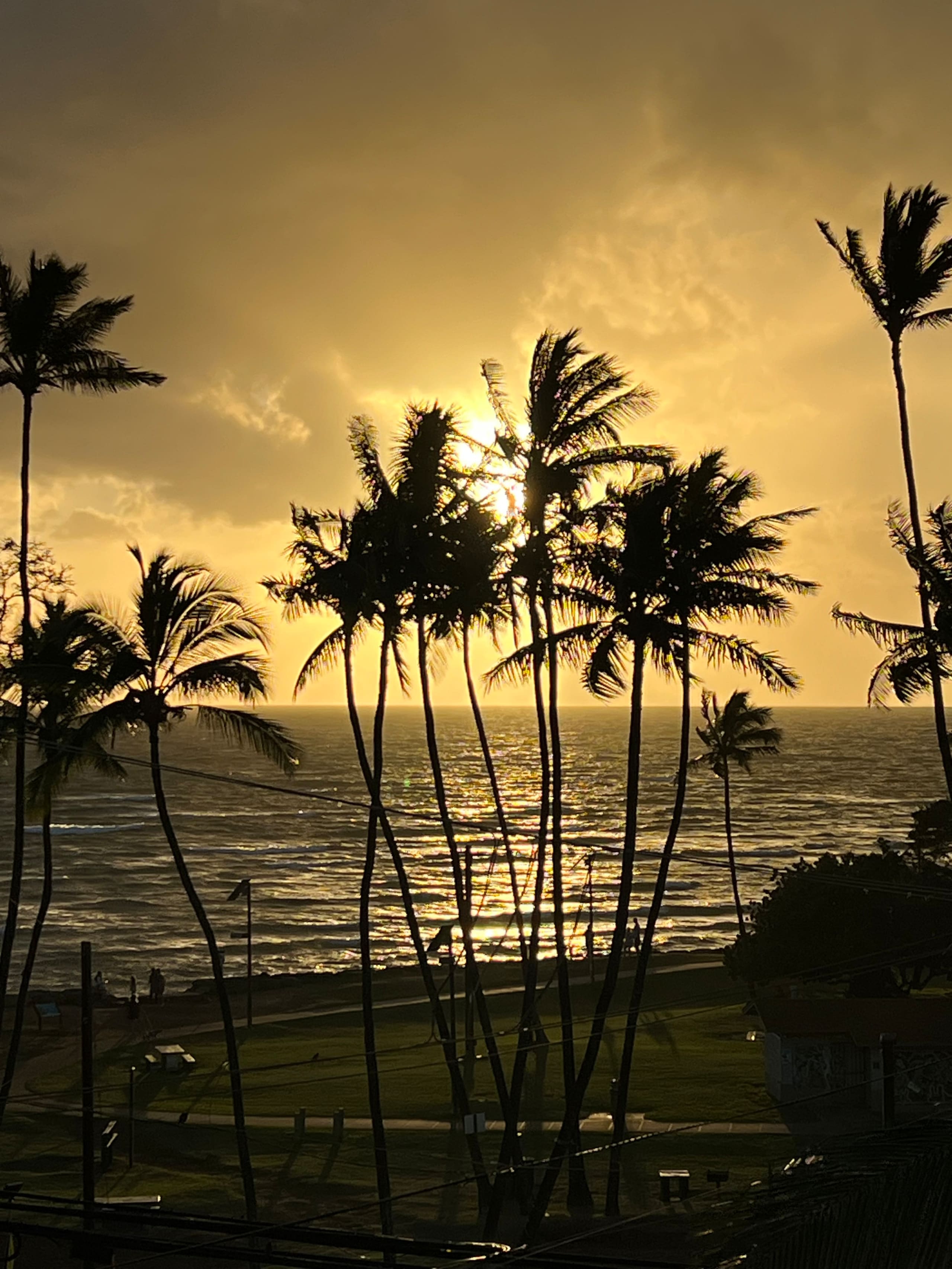 Condo in Kihei · ★4.94 · 1 bedroom · 1 bed · 1 bath - Image 1