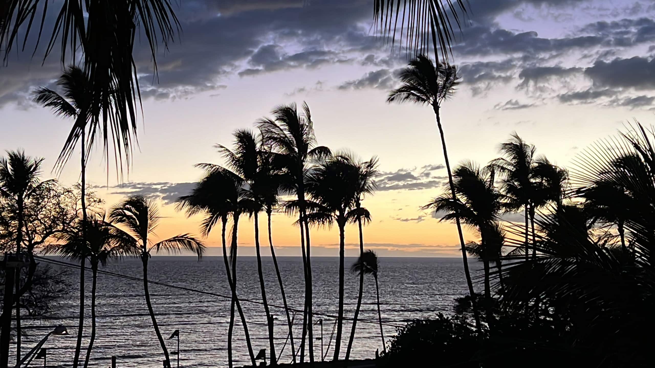 Condo in Kihei · ★4.94 · 1 bedroom · 1 bed · 1 bath - Image 40