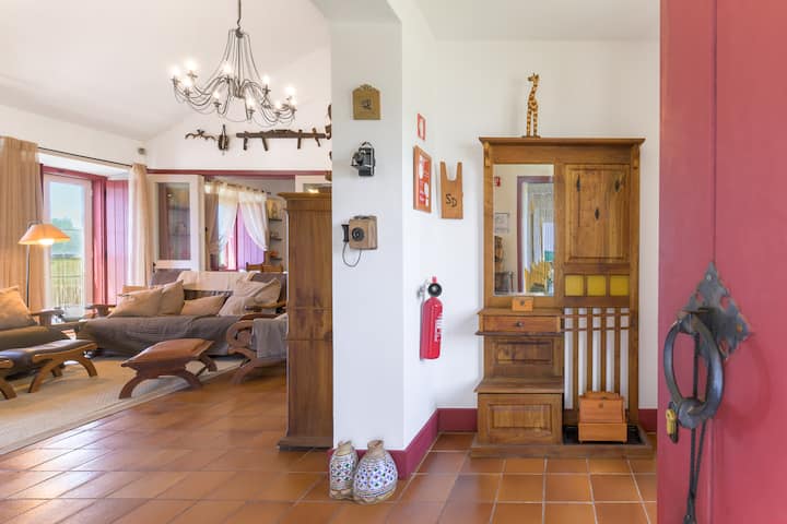 Private Alentejo Home With Saltwater Infinity Pool - Melides