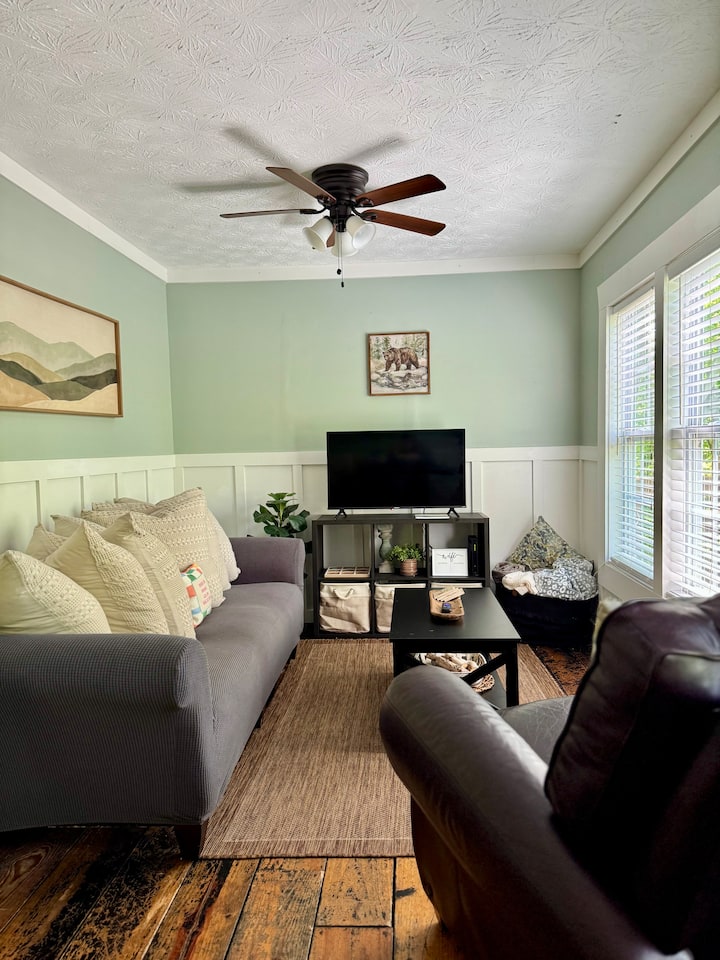 Hilltop Hideaway - Dillard, GA