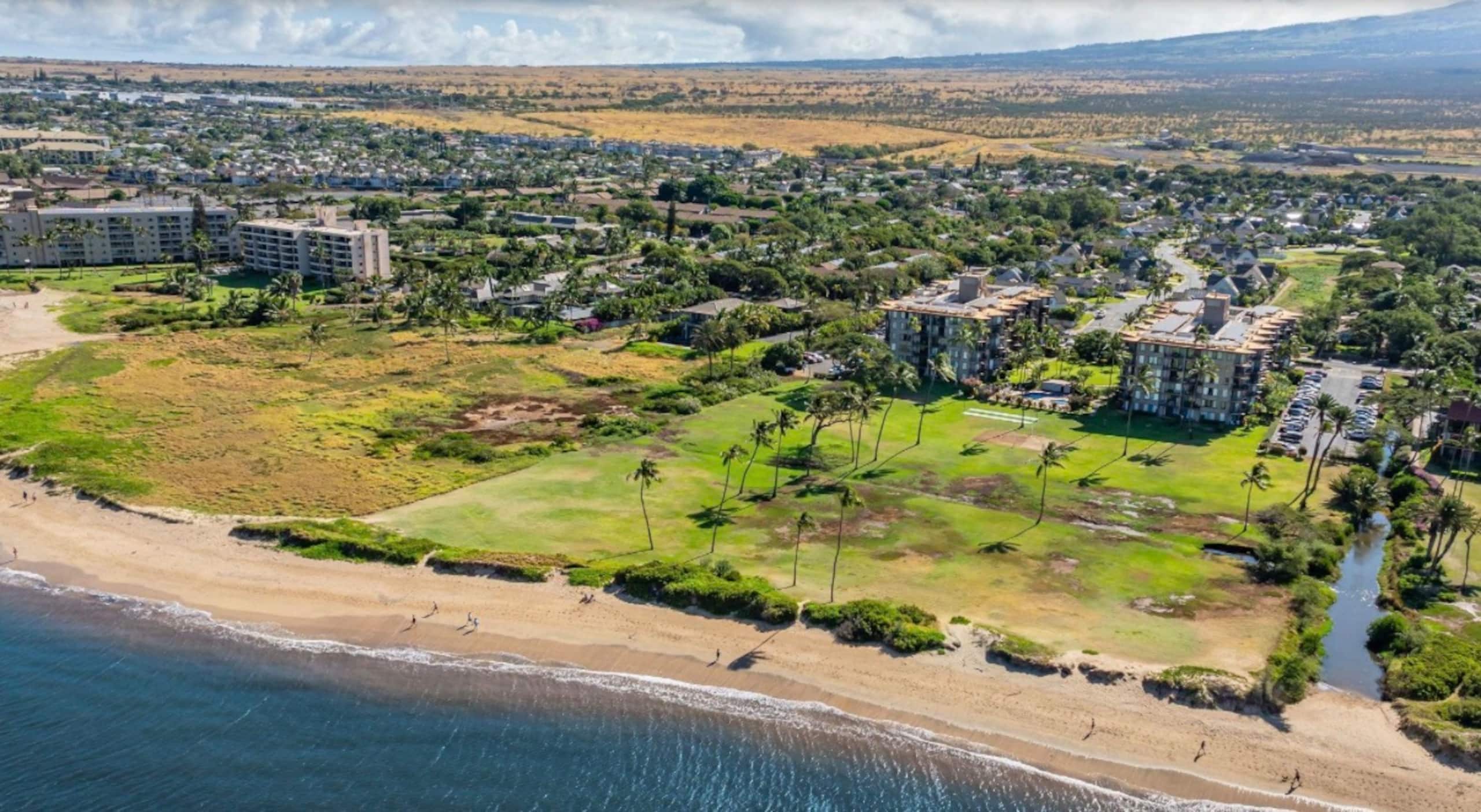 Condo in Kihei · ★4.93 · 1 bedroom · 2 beds · 1 bath - Image 24