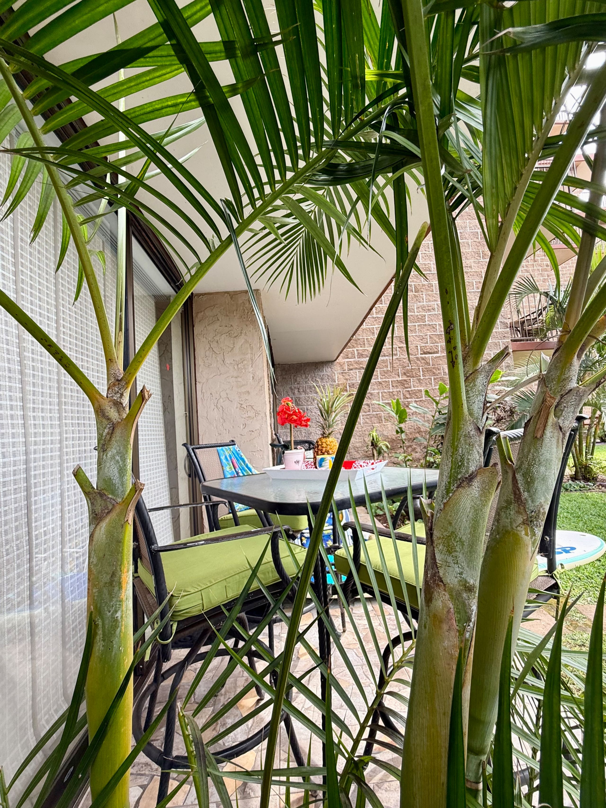 Condo in Kihei · ★4.93 · 1 bedroom · 2 beds · 1 bath - Image 15