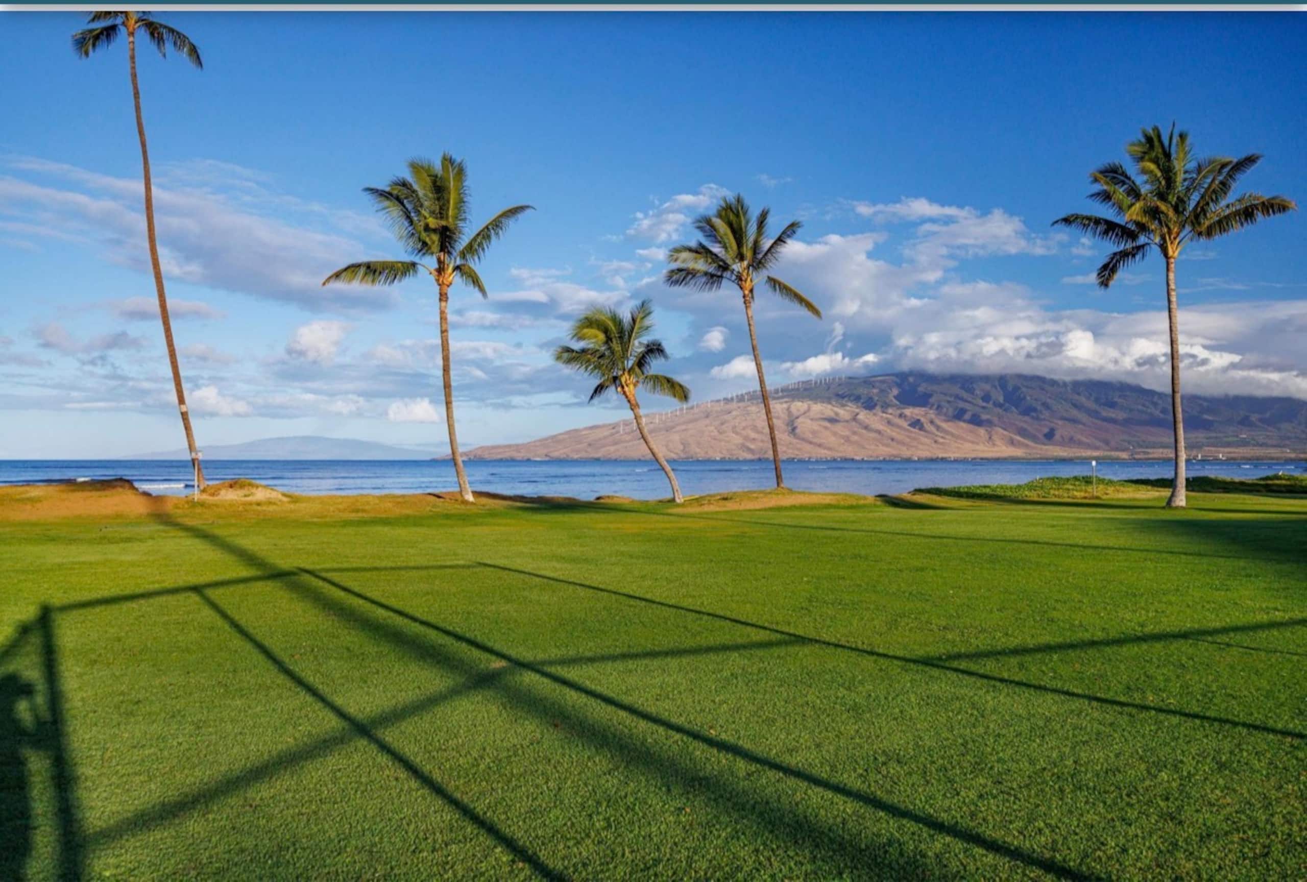 Condo in Kihei · ★4.93 · 1 bedroom · 2 beds · 1 bath - Image 20