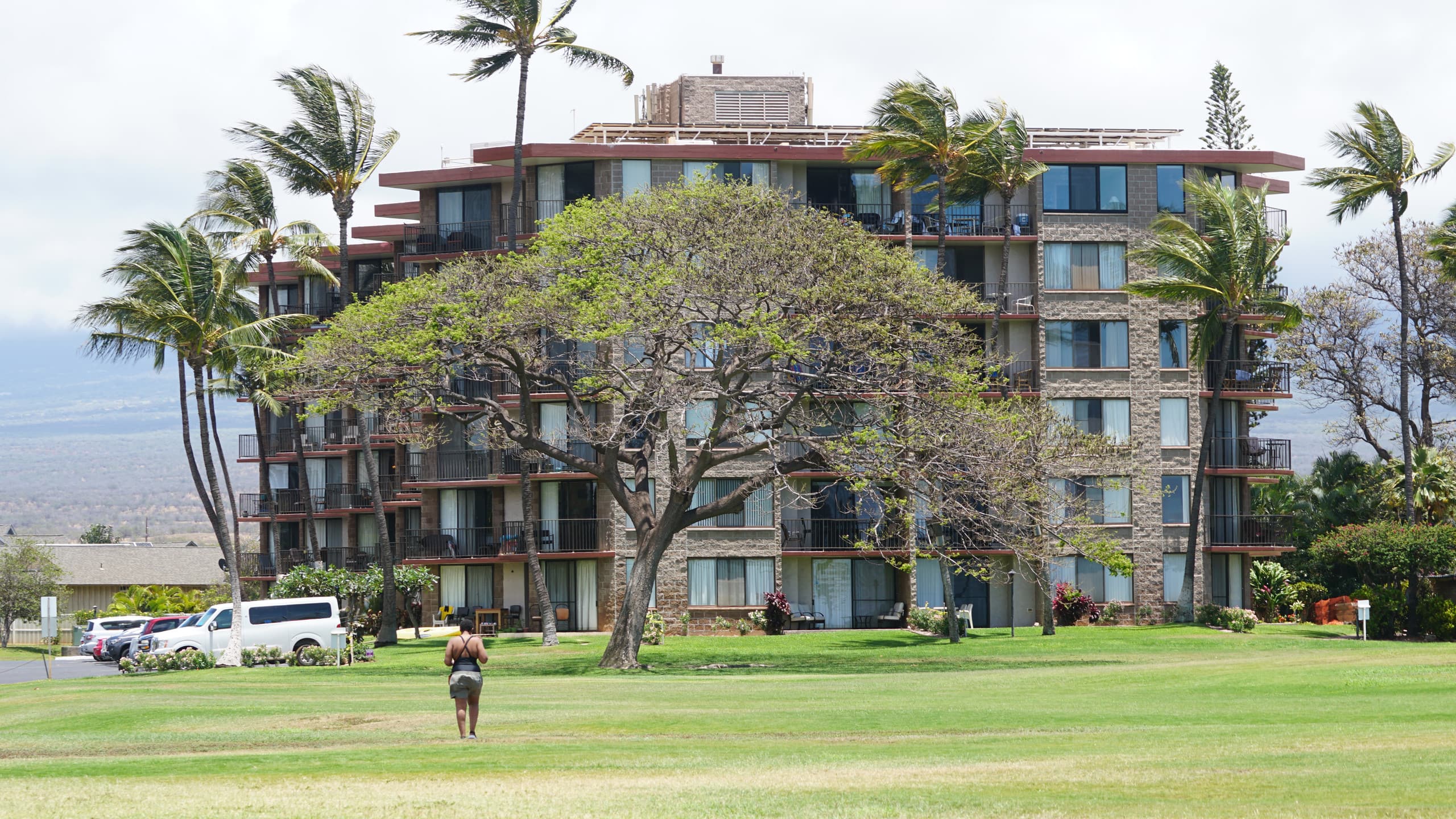 Condo in Kihei · ★4.93 · 1 bedroom · 2 beds · 1 bath - Image 25