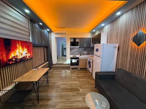 Stylish 1+1 apartment