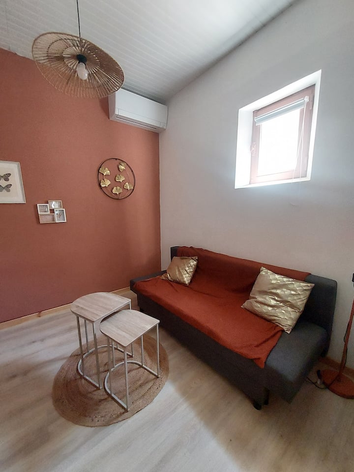 Studio Proche Centre - Apt