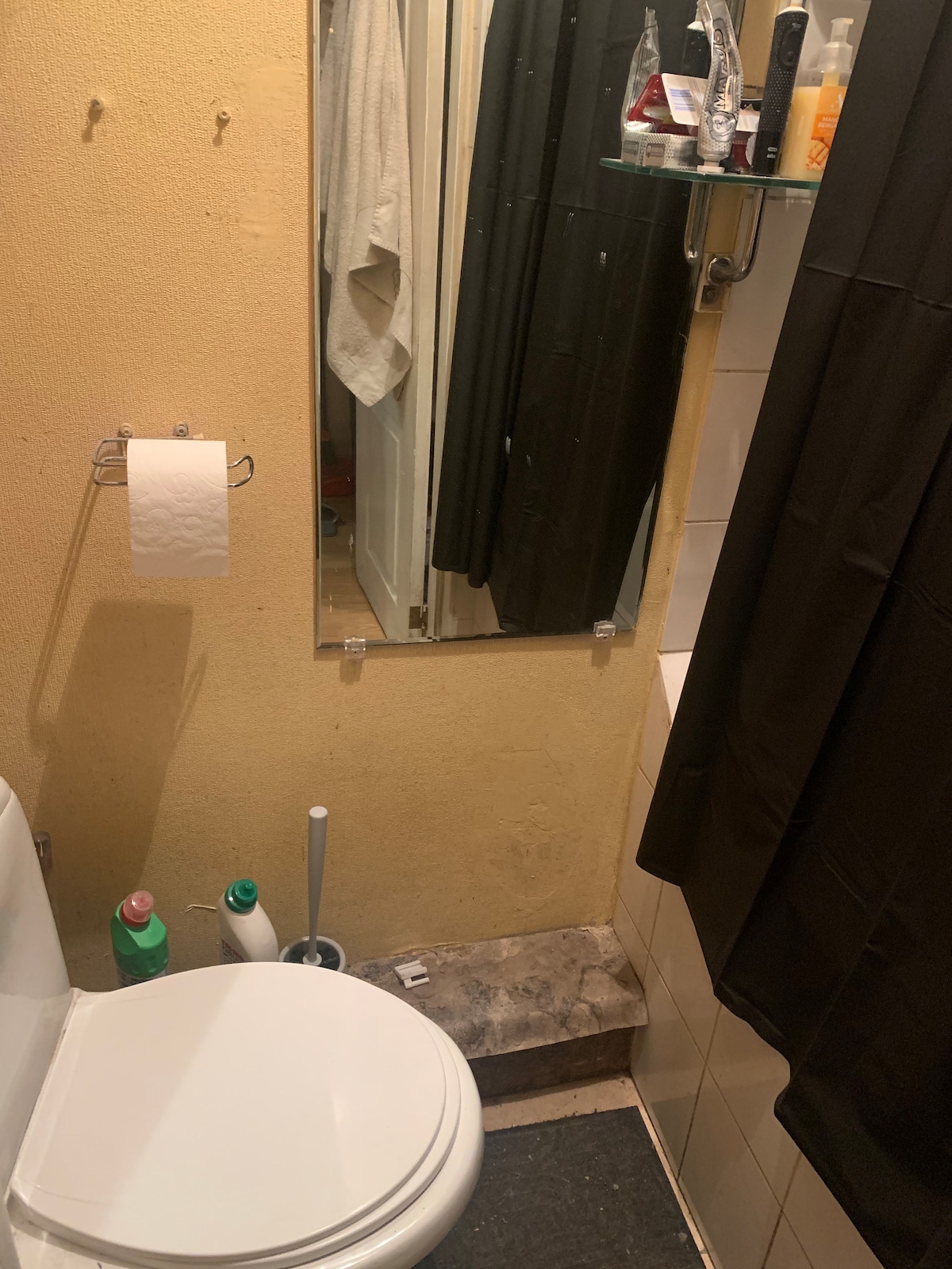 The private bathroom features a toilet adjacent to a small shelf with toiletries. A mirror is mounted above the sink area, reflecting the simplistic design. A shower is enclosed with a black curtain, providing privacy and functionality.