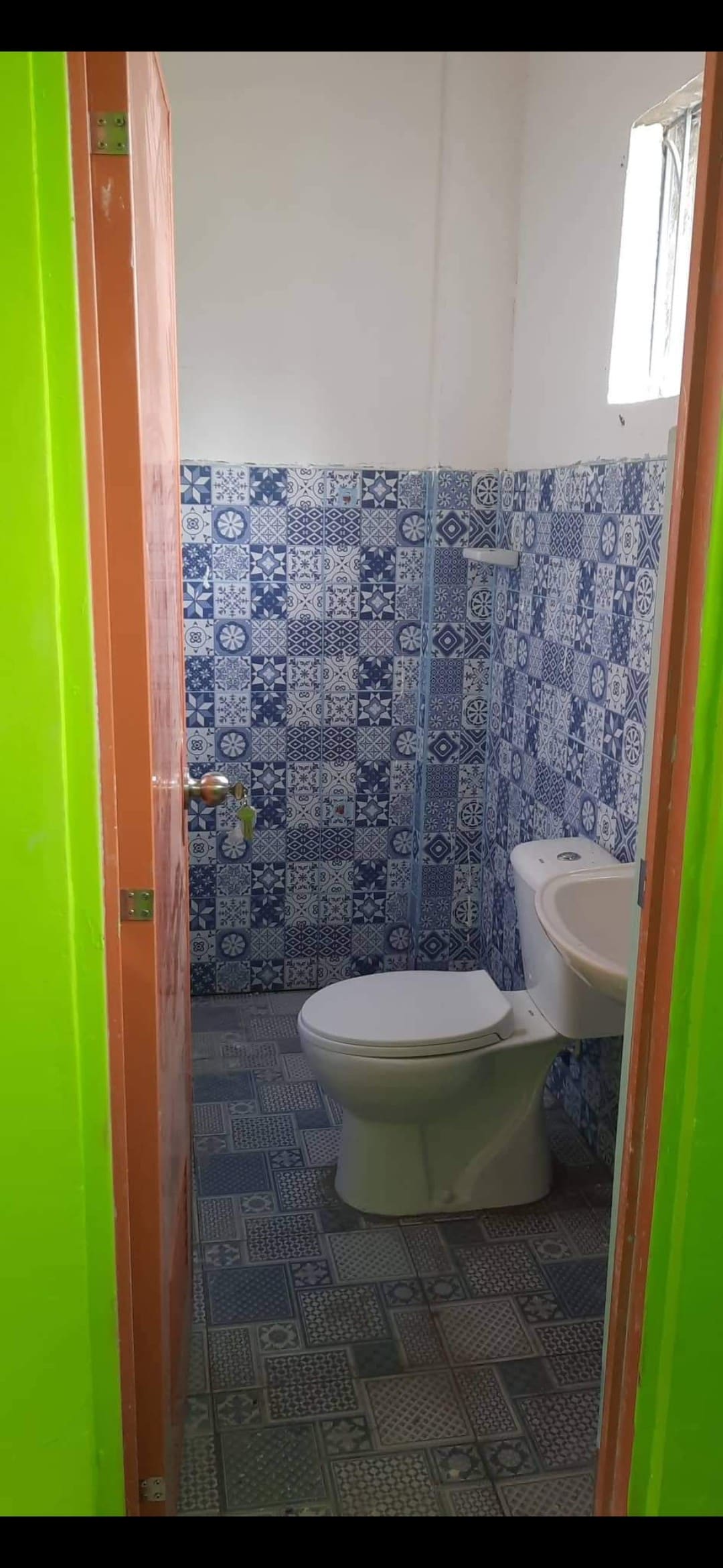 A bathroom featuring blue patterned tiles that cover the walls and floor. A white toilet is positioned against one wall, while a small sink is mounted nearby. Bright green walls frame the entrance, and a window allows natural light to enter the space.