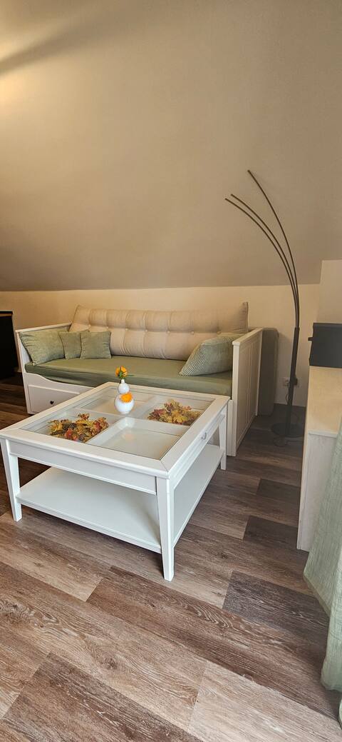 Successful Airbnb property: In the middle of nowhere in Lahnstein