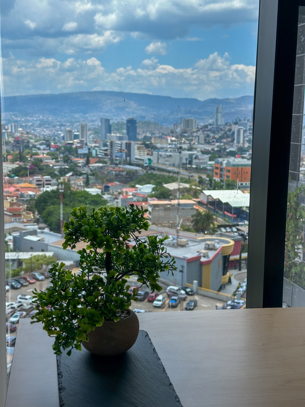 A view from the apartment is captured, showing the vibrant cityscape of Tegucigalpa. A small potted plant sits on a table in the foreground, adding a touch of greenery to the scene. The backdrop features a mix of residential and commercial buildings along the bustling city streets.