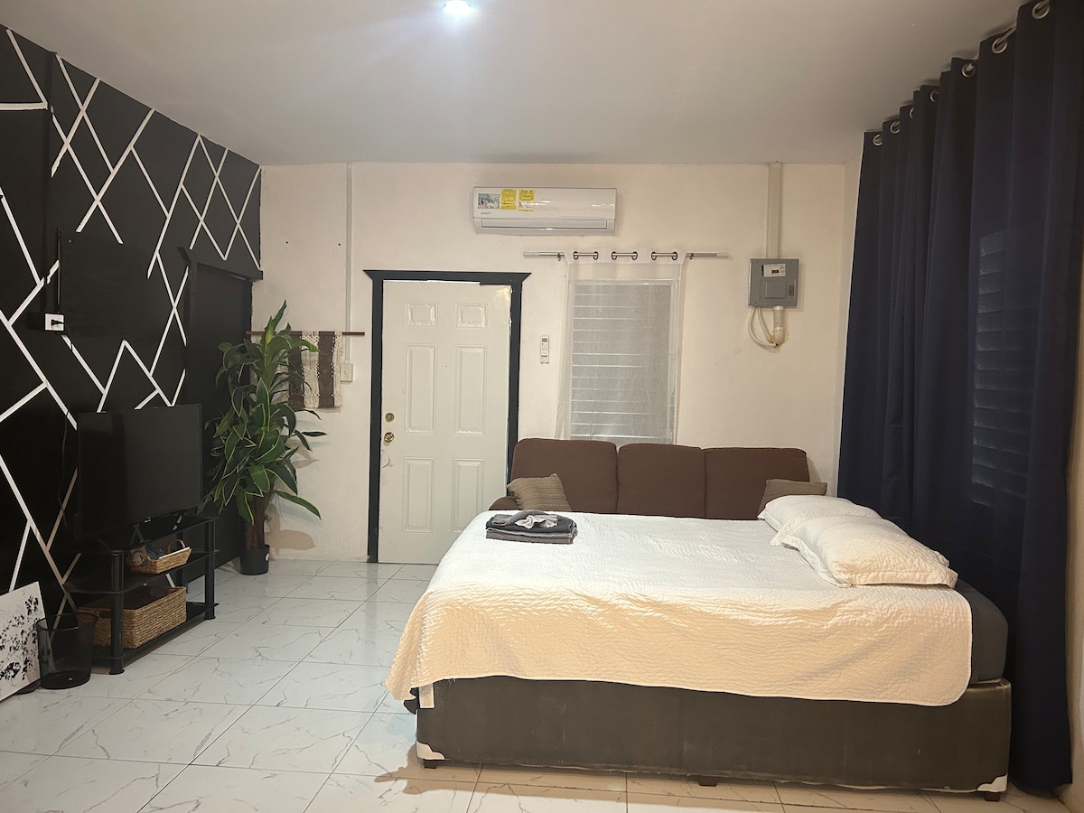 A studio space is presented, featuring a queen-sized bed with white linens positioned next to a two-seater brown couch. A large plant is displayed beside a black accent wall, while a door and window add natural light. Air conditioning unit is visible on the wall.