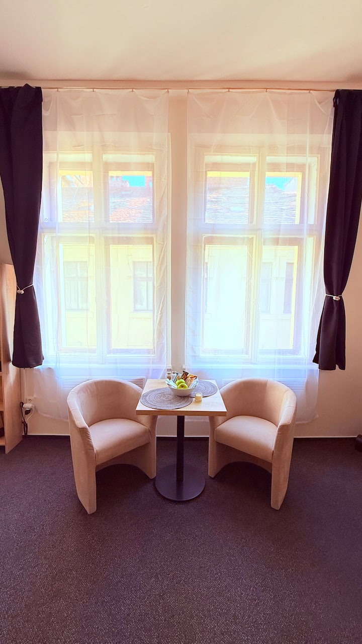 New Cozy Studio In The City Heart - Plzeň