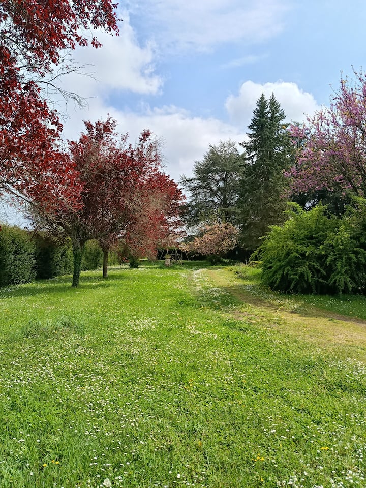 Emplacements Pour Camping-cars. - Blois