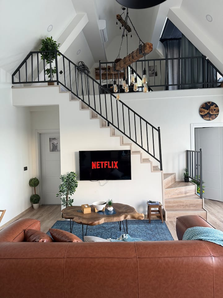 Sala acogedora con televisión, Netflix y sofá
