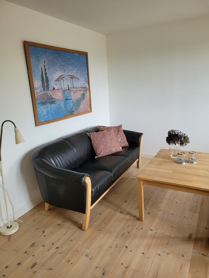 Helt Gårdhus Landligt & Centralt - Odense