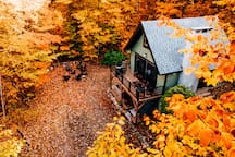 15 Alpstrausse