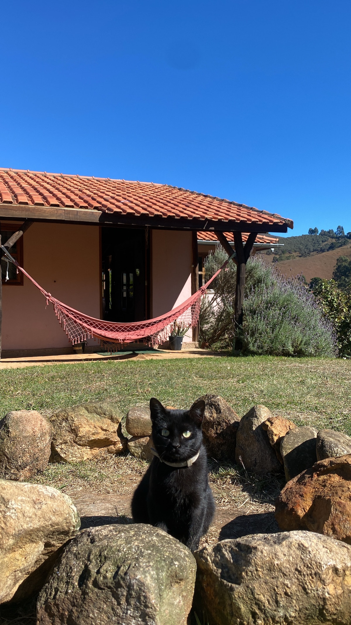 A black cat is seated in front of a circular arrangement of large rocks. Behind, a cozy house features a terracotta roof and a hammock is hung nearby. The clear blue sky complements the natural outdoor setting.