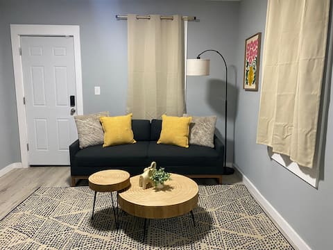 Top performing Airbnb: Luxury by Cleveland clinic in Fairfax