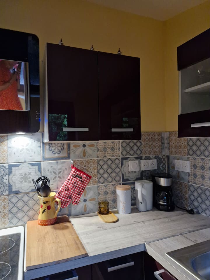 Studio Donnant Sur Cour Ombragée - Montauban