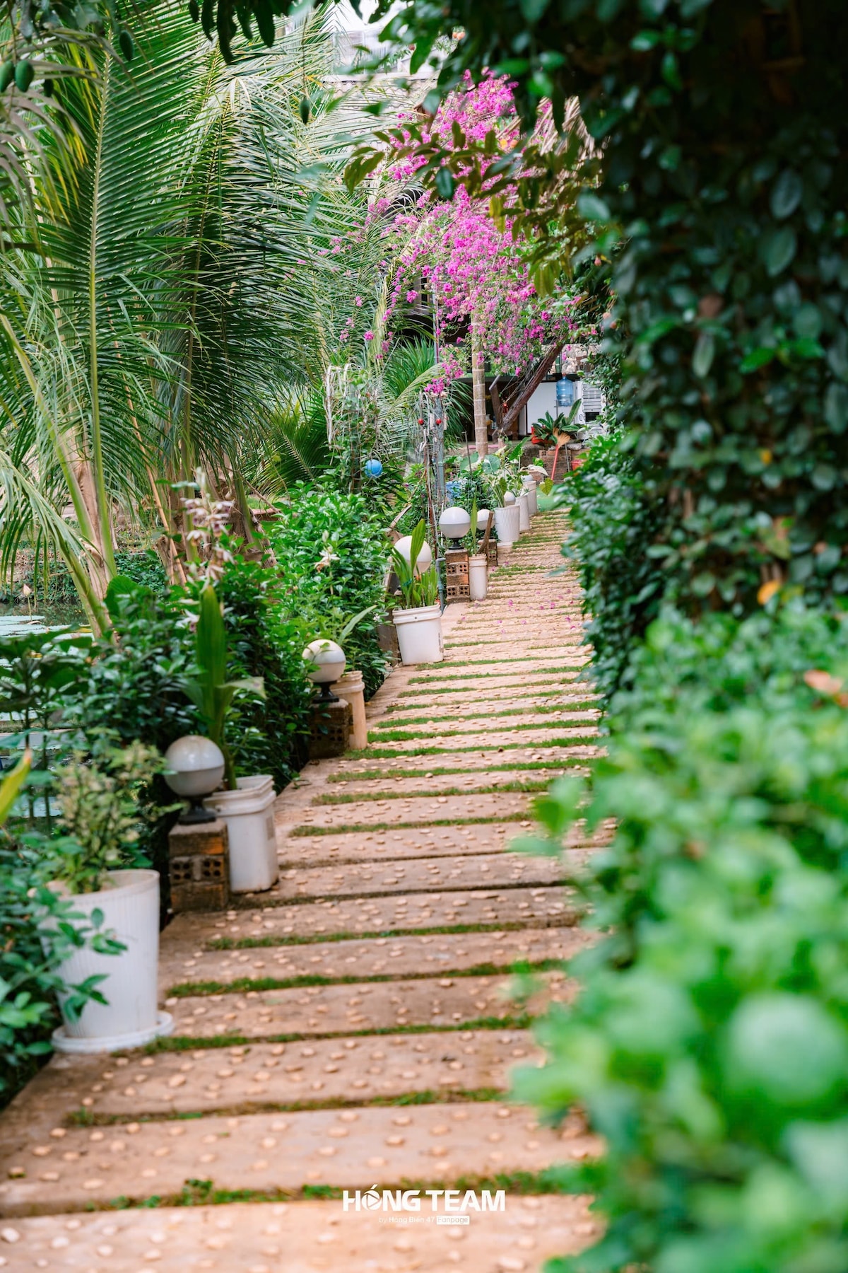 A serene pathway is lined with lush greenery and flowering plants. Soft-lit globes illuminate the stone path, guiding visitors through the vibrant garden towards the tranquil lotus pond. Tall palms and blooming foliage create a peaceful atmosphere for leisurely strolls.