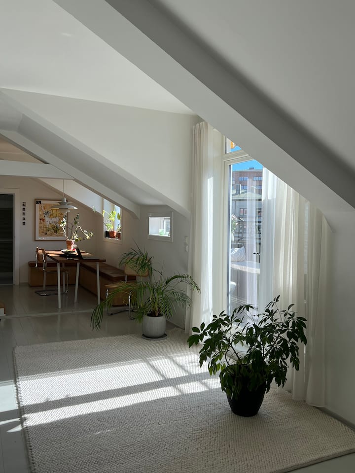 Loftsleilighet Med Stor Balkong - Oslo