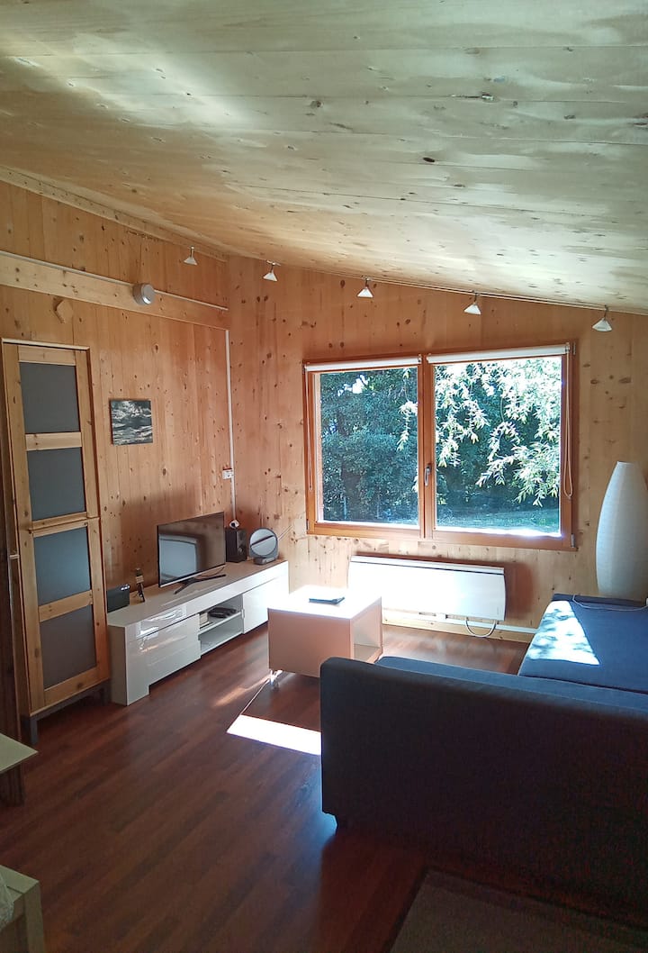 Le Petit Chalet - Thiers