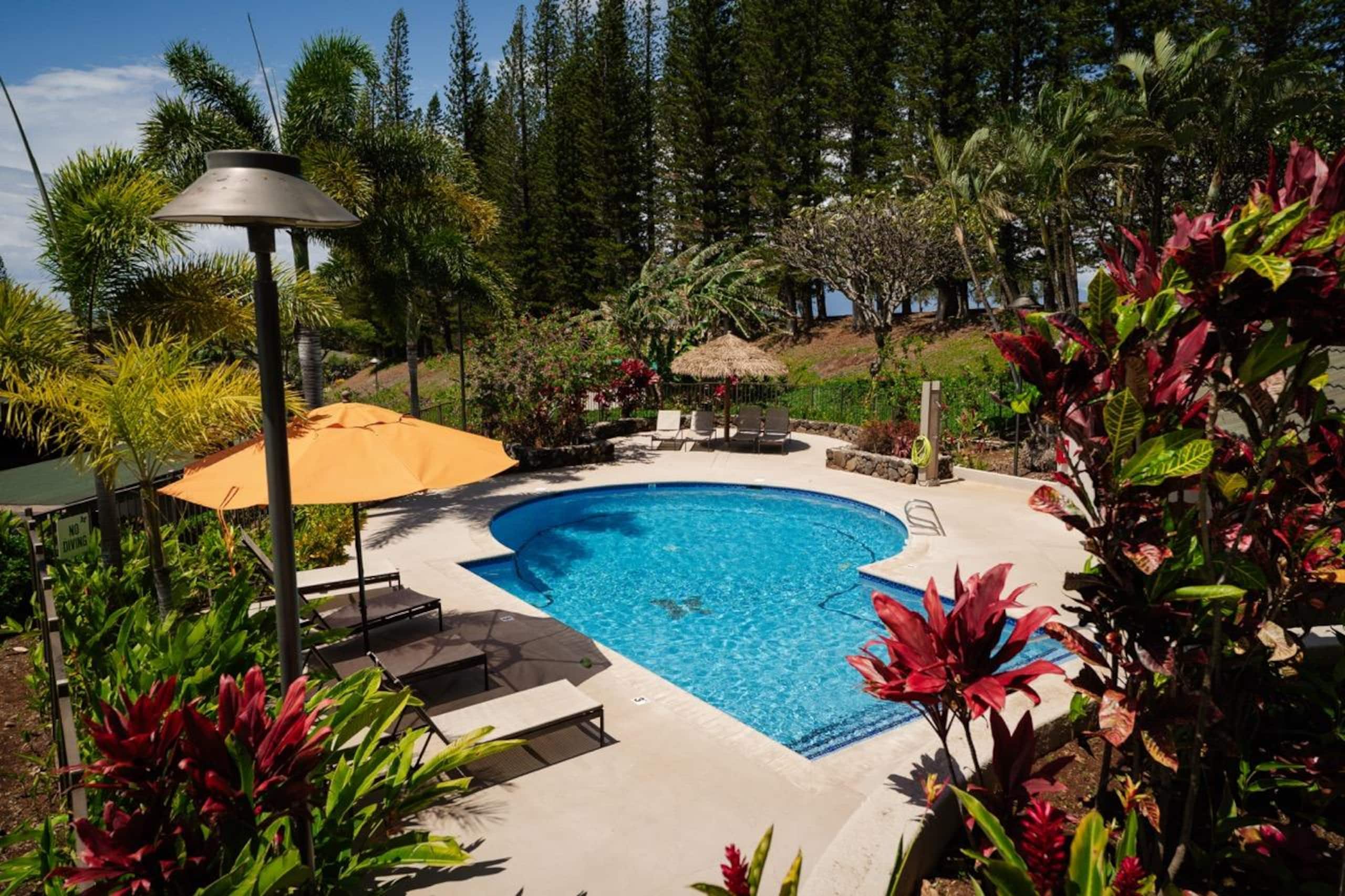 Condo in Lahaina · ★5.0 · 1 bedroom · 2 beds · 2 baths - Image 47