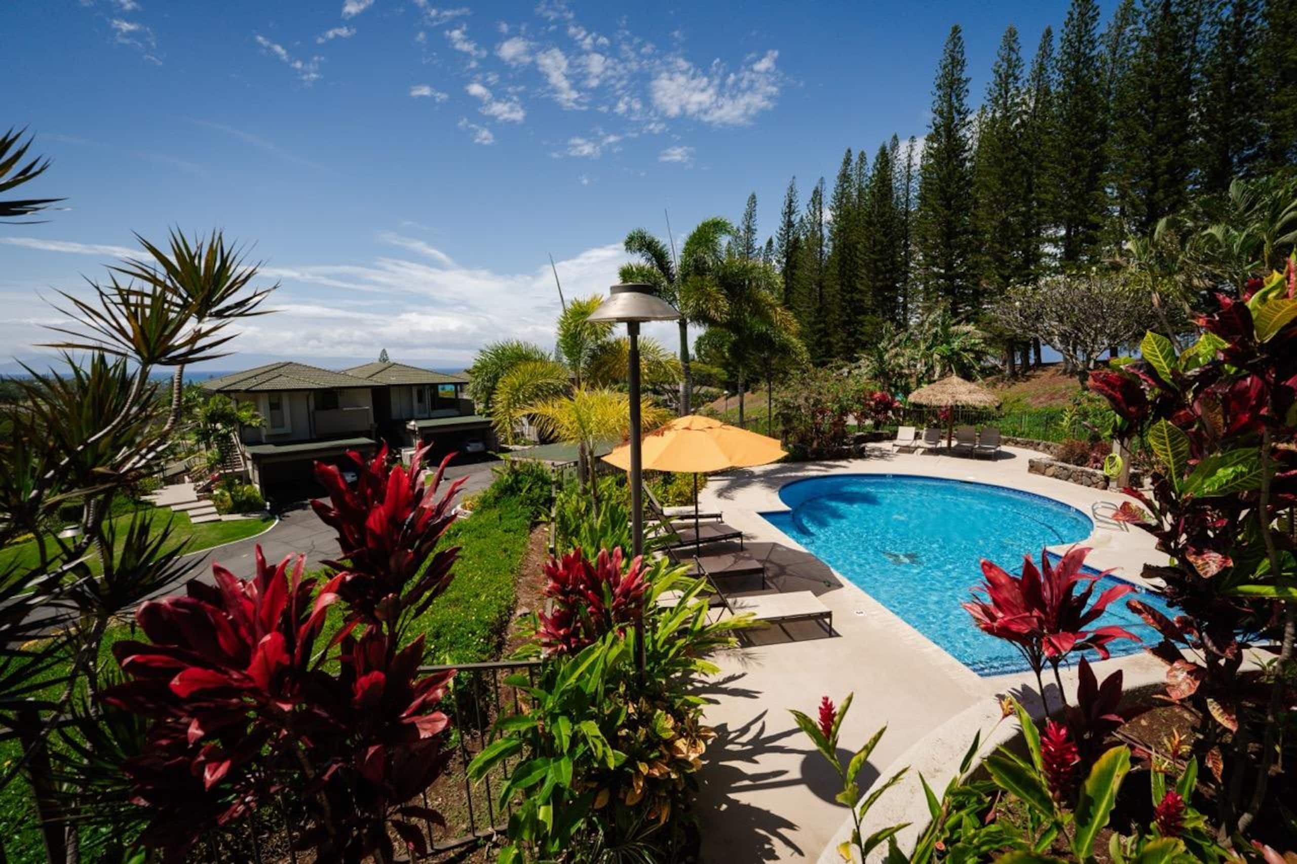 Condo in Lahaina · ★5.0 · 1 bedroom · 2 beds · 2 baths - Image 30
