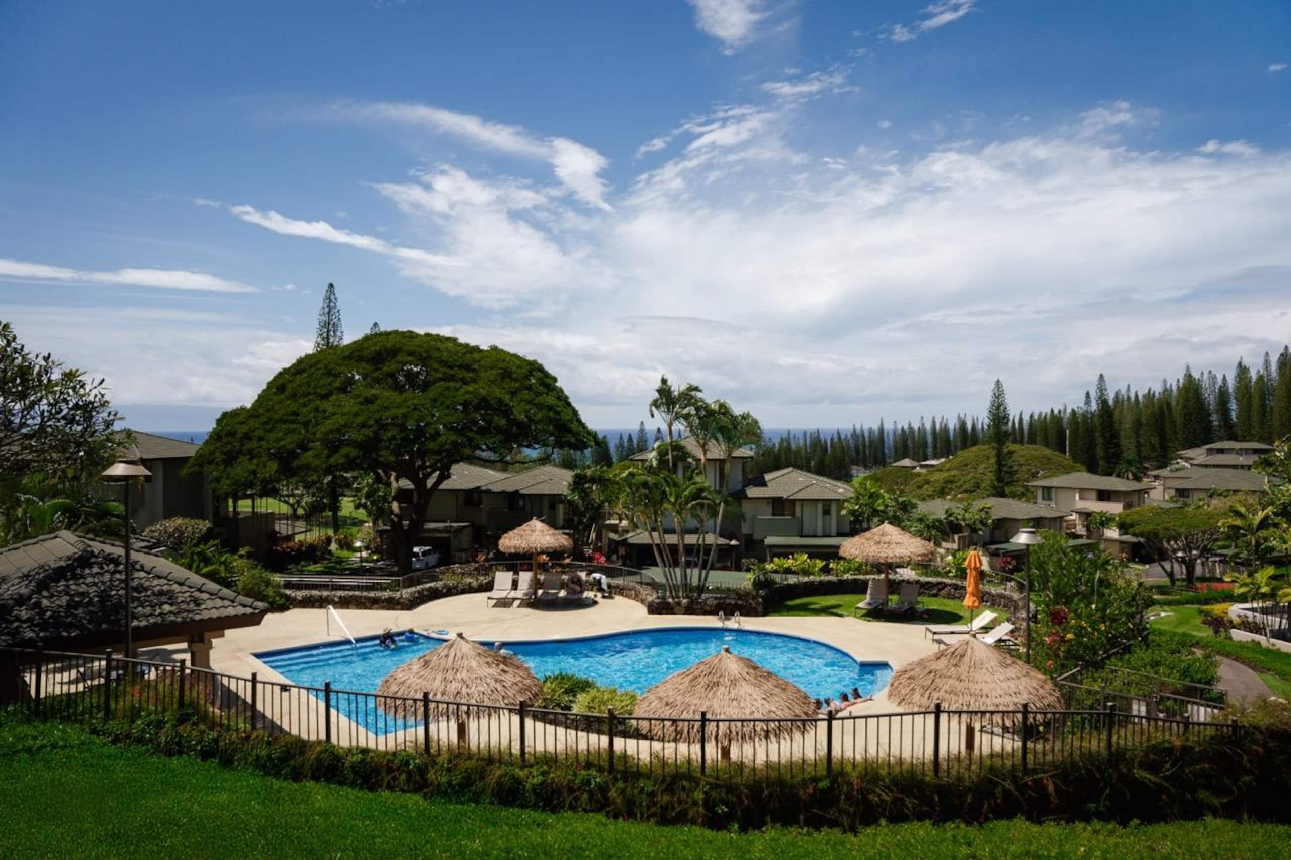 Condo in Lahaina · ★5.0 · 1 bedroom · 2 beds · 2 baths - Image 61