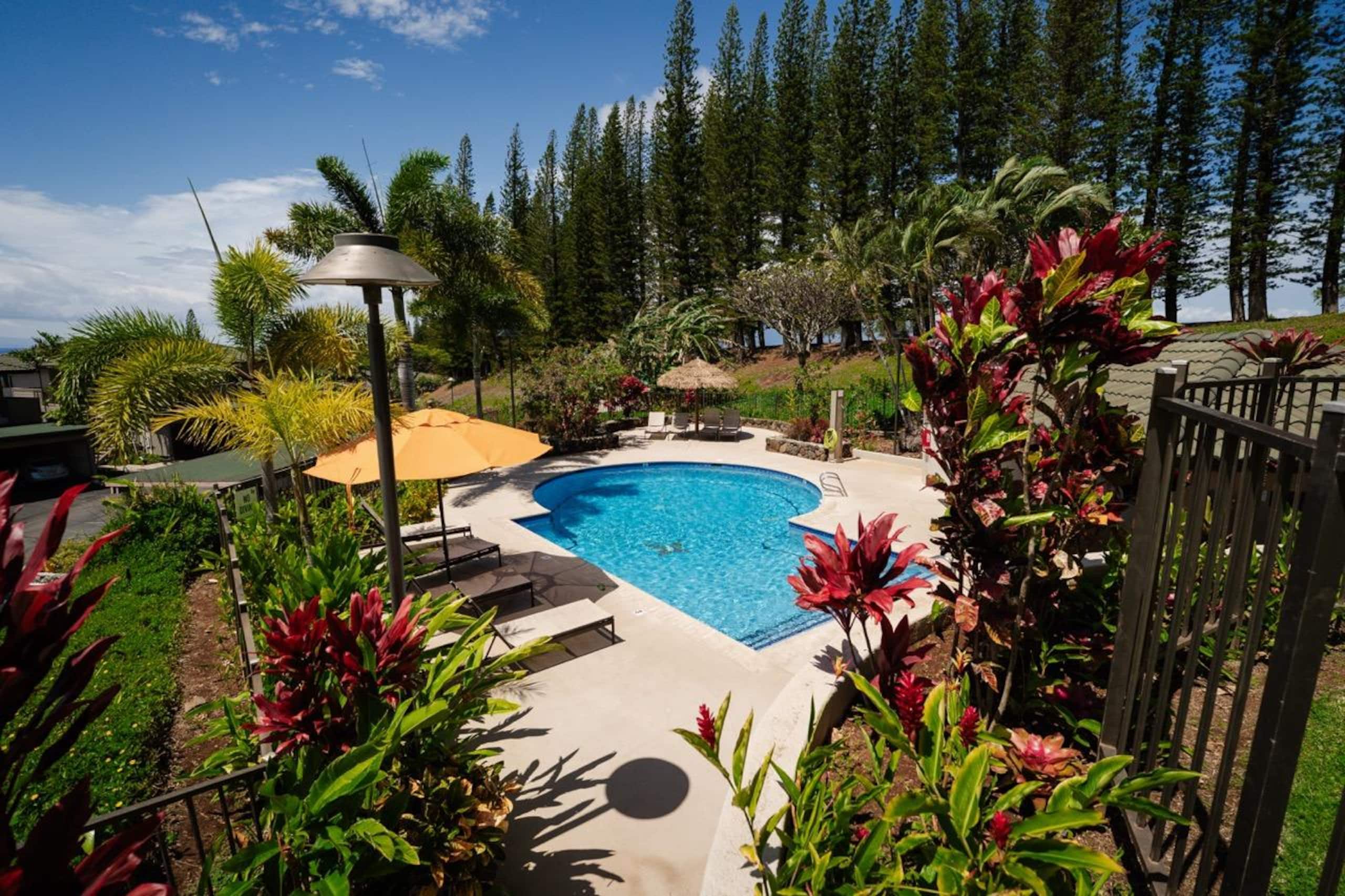 Condo in Lahaina · ★5.0 · 1 bedroom · 2 beds · 2 baths - Image 45