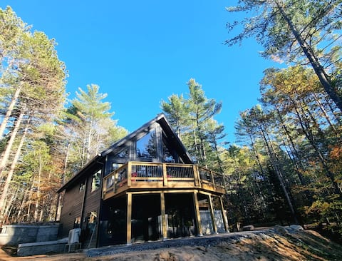 New modern cabin immersed in the pines