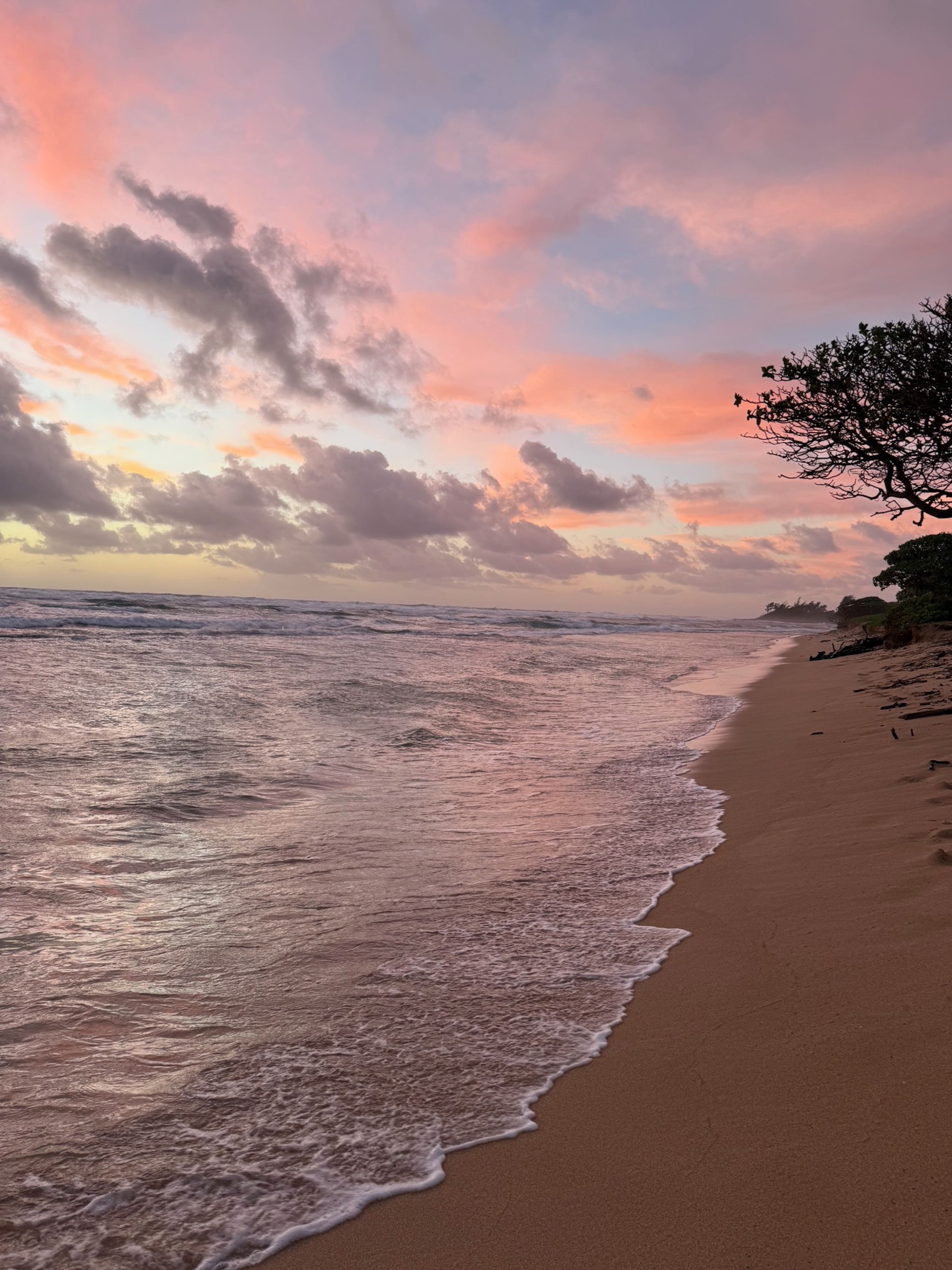 Resort in Lihue · ★5.0 · 1 bedroom · 2 beds · 1 private bath - Image 20