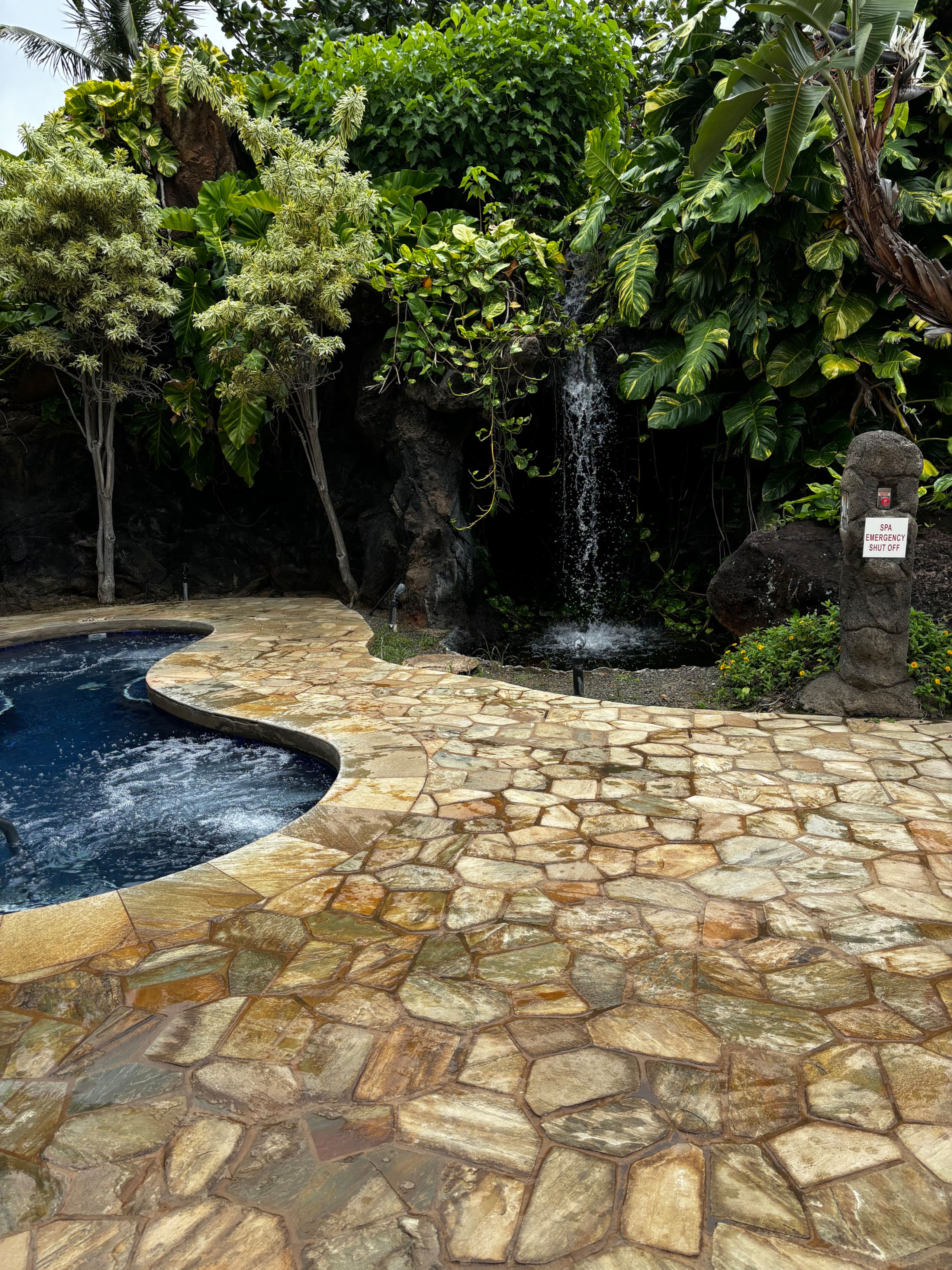 Resort in Lihue · ★5.0 · 1 bedroom · 2 beds · 1 private bath - Image 29