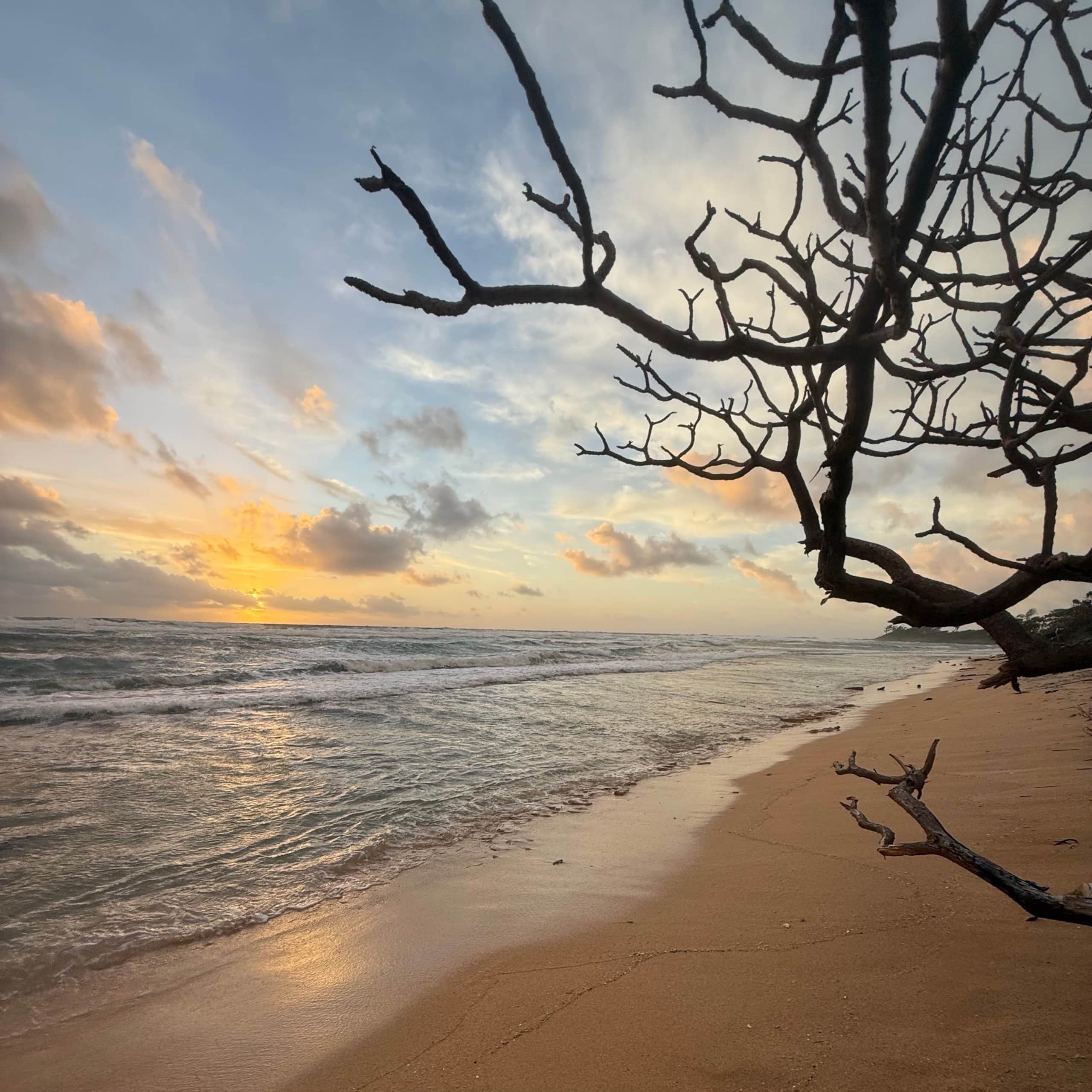 Resort in Lihue · ★5.0 · 1 bedroom · 2 beds · 1 private bath - Image 16