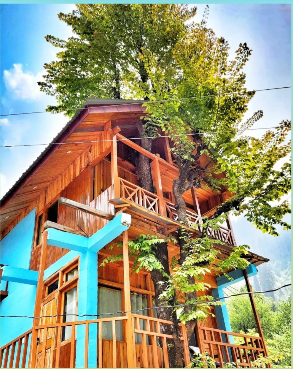 A unique house is surrounded by vibrant greenery, featuring a striking blue exterior with wooden accents. A large tree is integrated into the design, with balconies extending from the second level. Sunlight illuminates the structure against a clear blue sky.