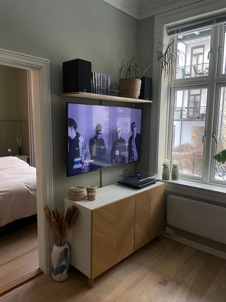 Koselig Og Sentral Leilighet - Oslo