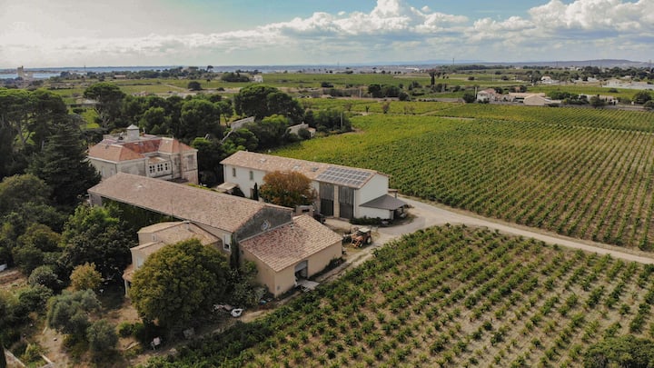 Maison De Charme Dans Un Domaine Viticole Bio - Frontignan