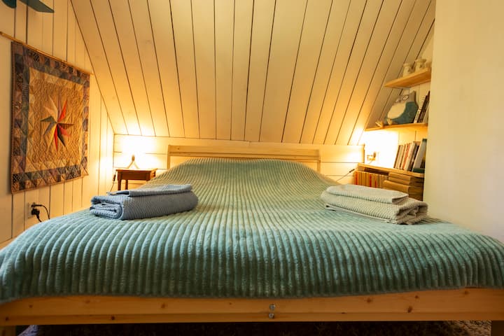 Habitación 1