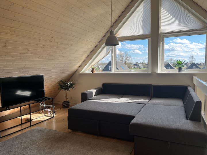 Situato nel soggiorno e trasformato in un letto matrimoniale.
