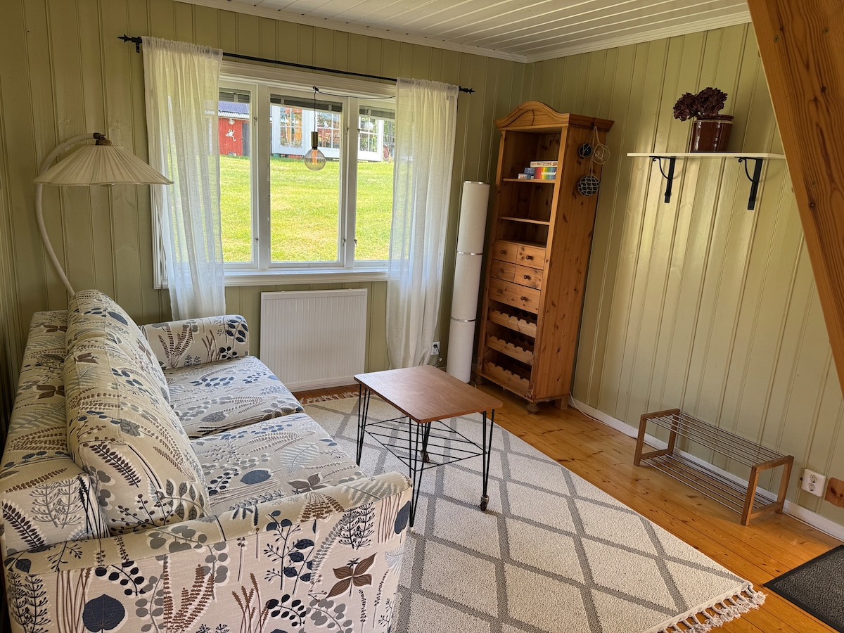 Dnevni boravak sa sofom koja je napravljena od jednostavne ručke. Dodatni madrac dostupan je kada spavate udobno. 